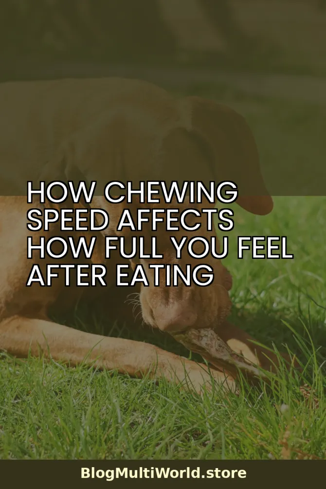 How Chewing Speed Affects How Full You Feel After Eating